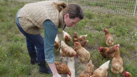Image of a farmer feeding her chickens.