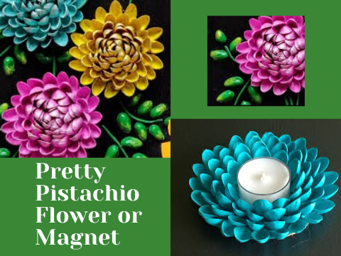 Pretty Pistachio flower or magnet