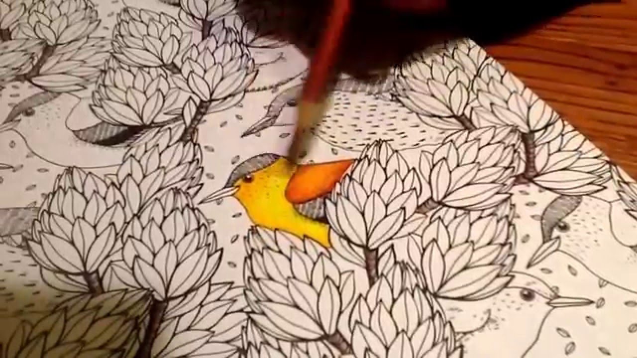coloring pencil