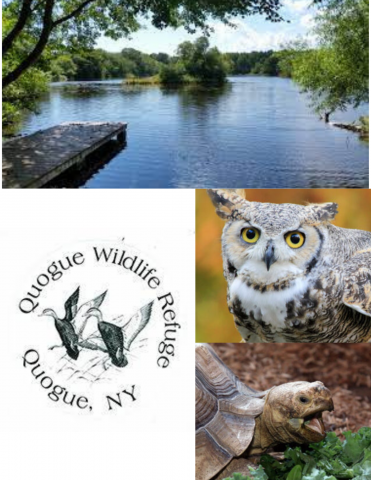 Quogue Wildlife Refuge