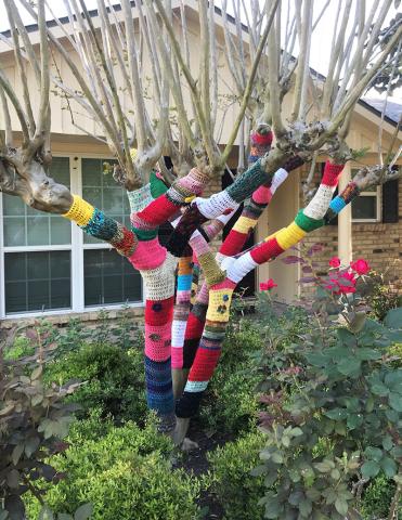 Yarn Bombing on Tree