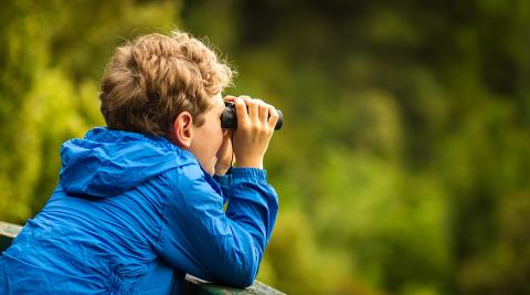 birdwatching