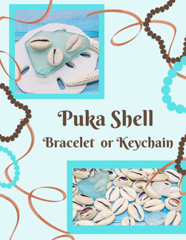 Puka Shell