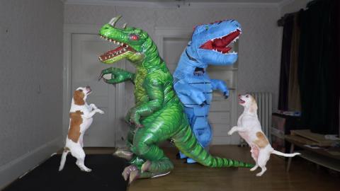 Dino Dance