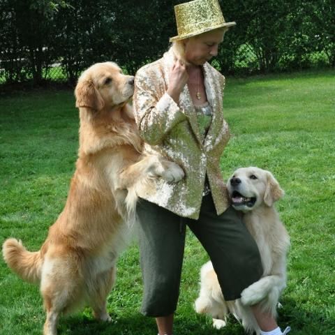 Dancing Goldens