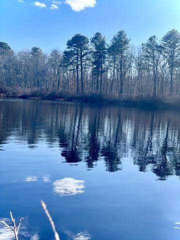 calverton pond