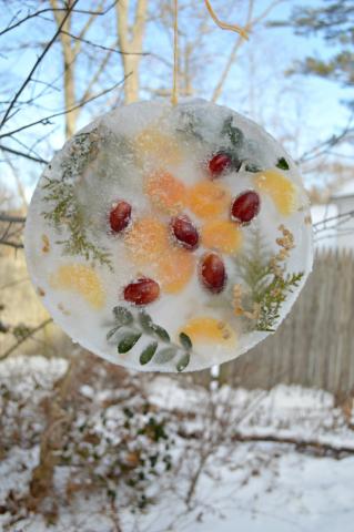 Frozen Suncatcher