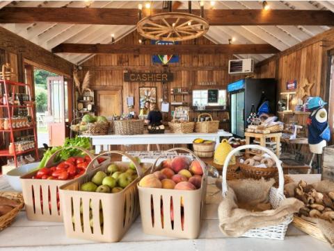 Breeze Hill Farm farmstand with fresh produce.