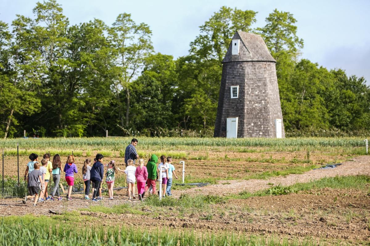 Sylvester Manor Educational Farm, Shelter Island