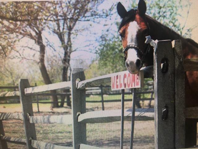 Spirit's Promise Equine Farm 