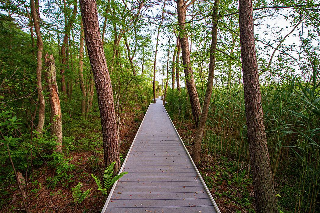 Quogue Wildlife Refuge