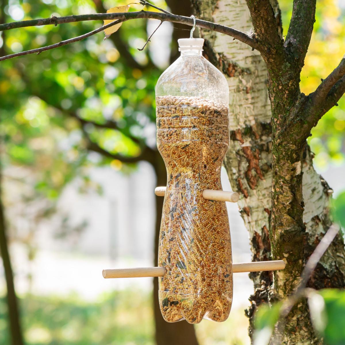 Soda Bottle Bird Feeder