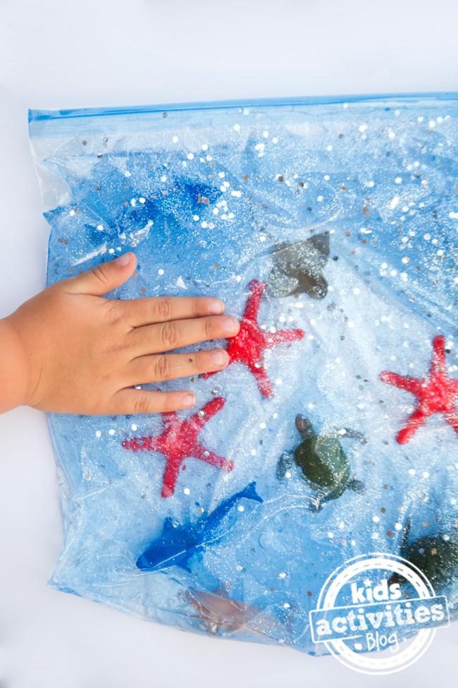 sensory fish bag