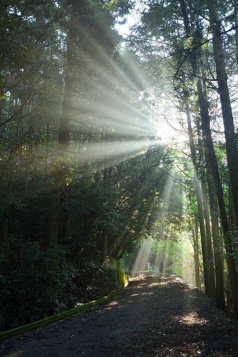 Hiking, trail