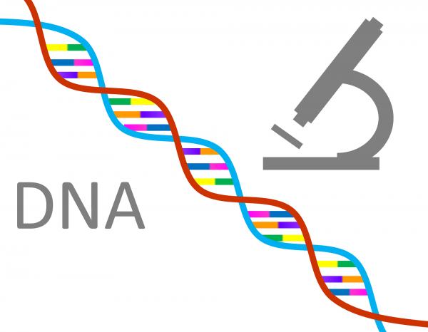 DNA