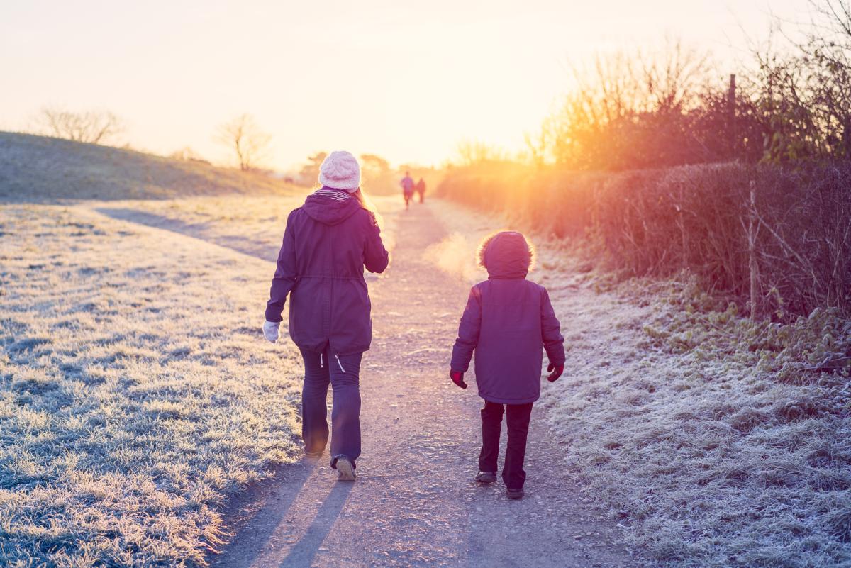 Winter walk