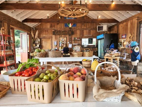 Breeze Hill Farm farmstand with fresh produce.